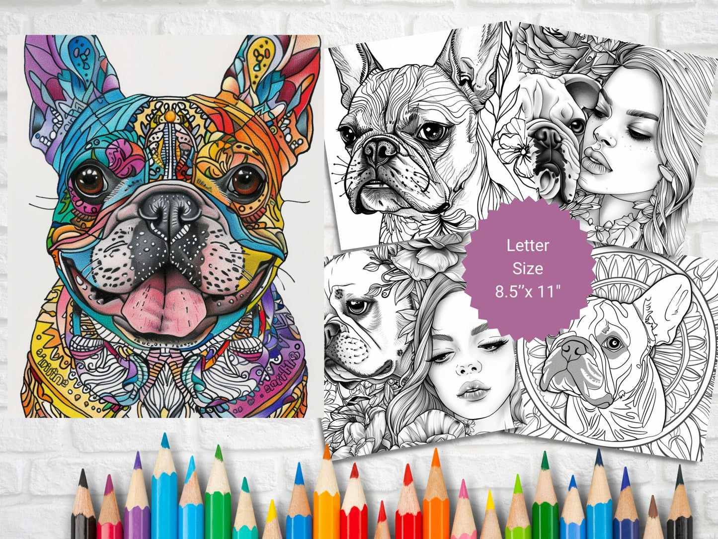 20 Cute French Bulldog Coloring Pages - My Coloring Zone