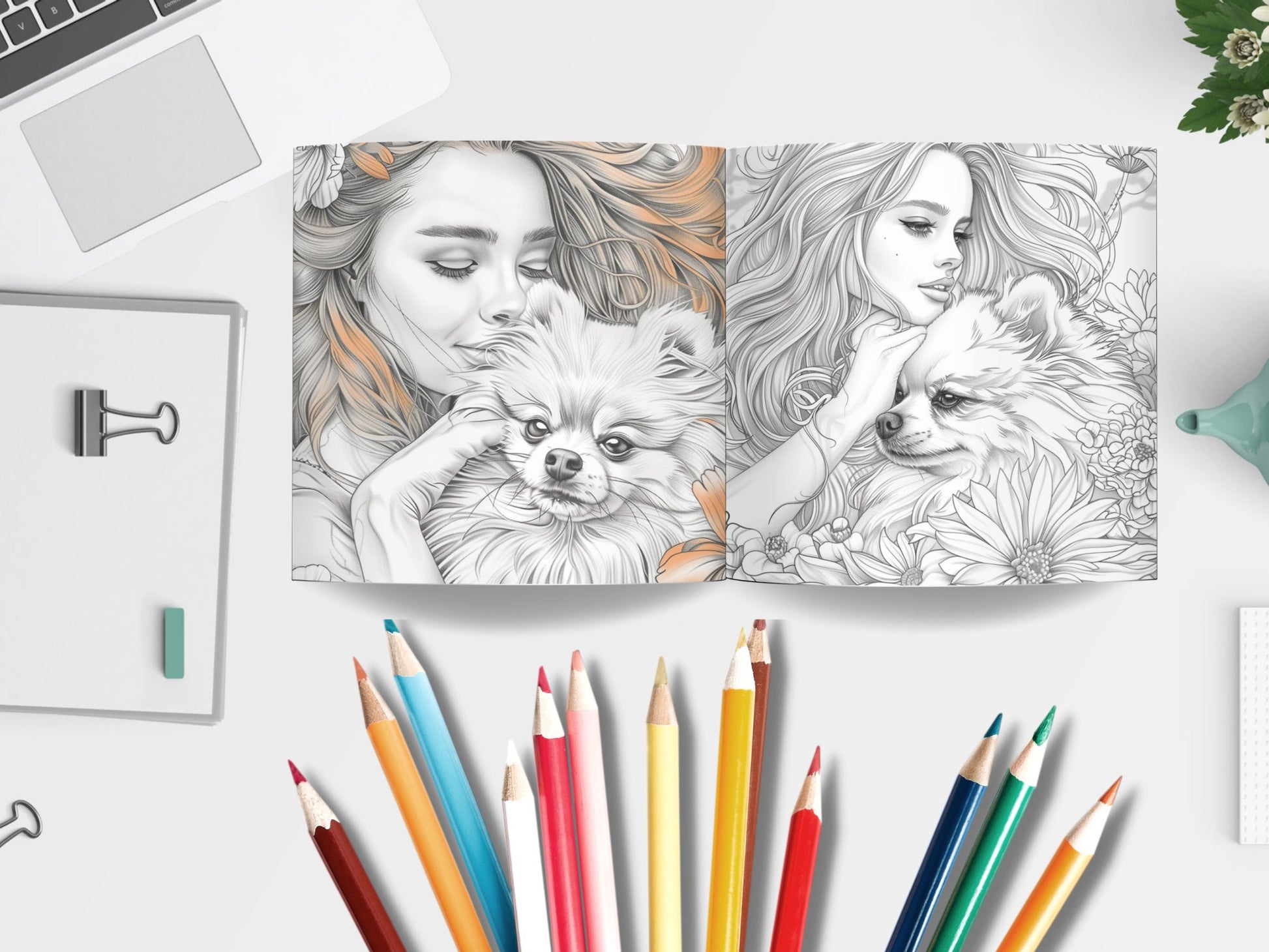 25 Cute Pomeranian Dogs Coloring Pages - My Coloring Zone