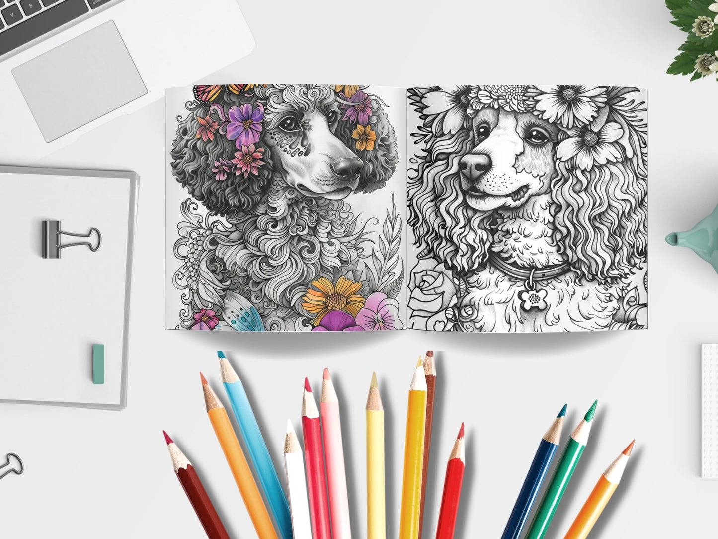 30 Cute Poodle Coloring Pages - My Coloring Zone